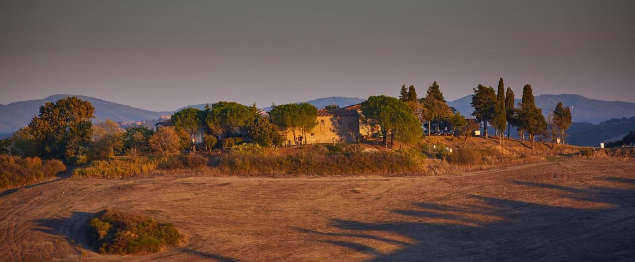 Podere San Francesco Bed & Breakfast Volterra Bagian luar foto